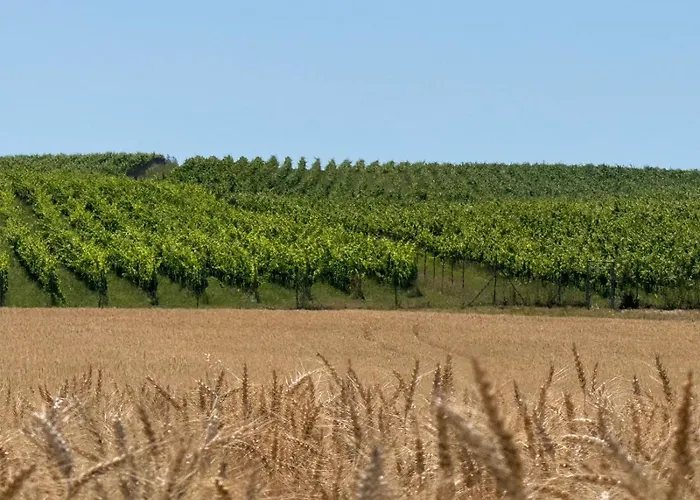 Domus Cobile Apartmán *